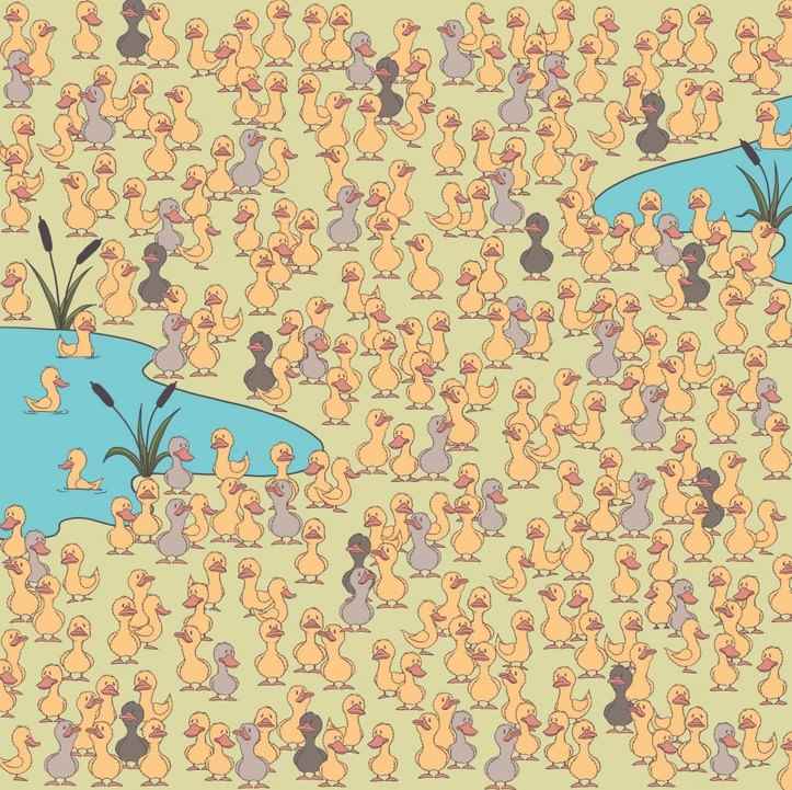 Misterija i glavna stvar