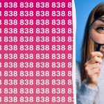 Imate visok IQ ako možete brzo pronaći broj 888 među