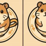 IQ test: pronađite 3 razlike na slici hrčka za 51