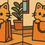 IQ test: pronađite 3 razlike na slici slatke mačke u