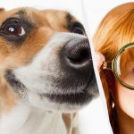 Samo pravi IQ titan će vidjeti psa u snijegu za